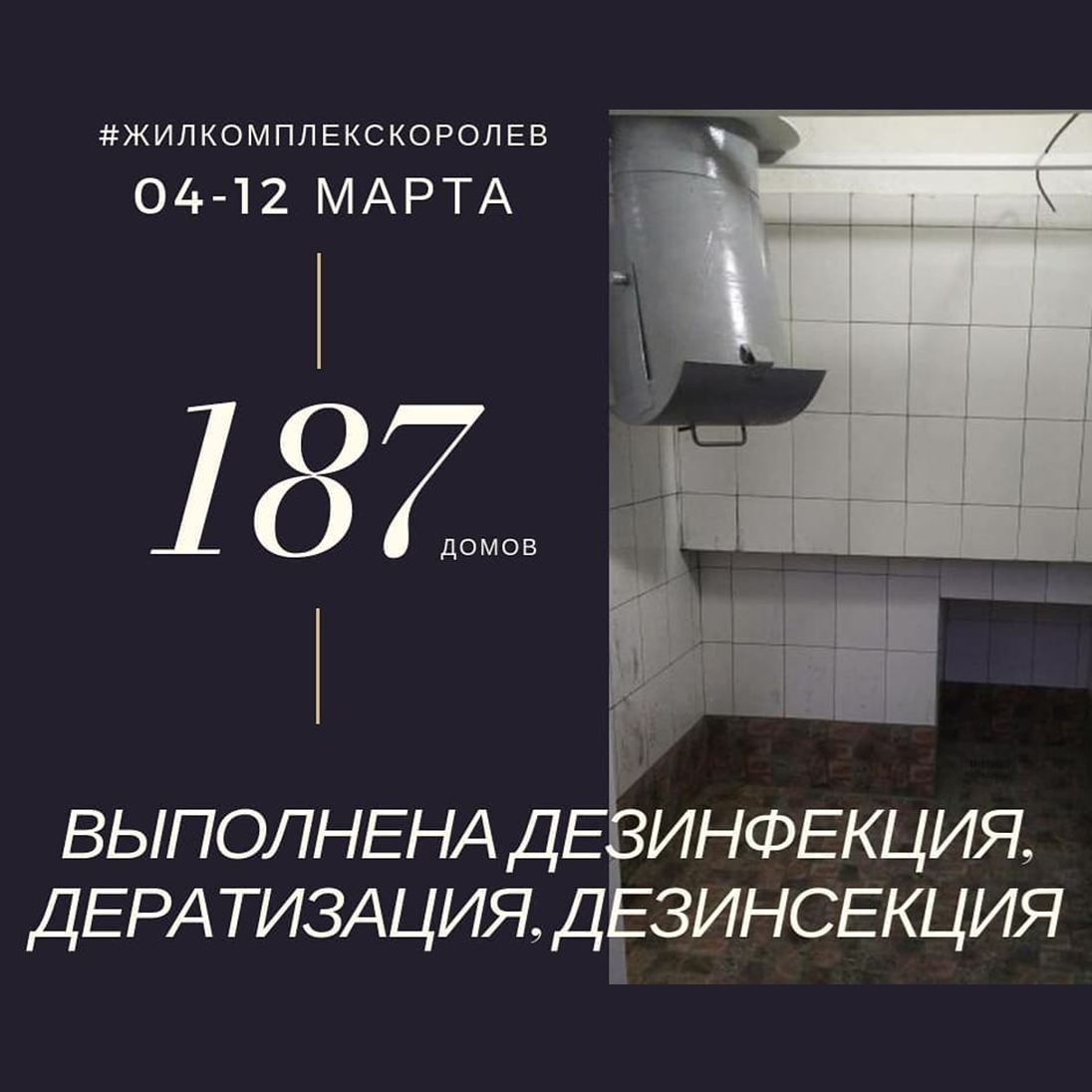 Итоги 04-12 марта. Дезинфекция, дератизация, дезинсекция | Жилкомплекс